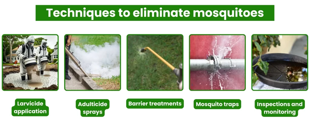 Techniques to eliminate mosquitoes