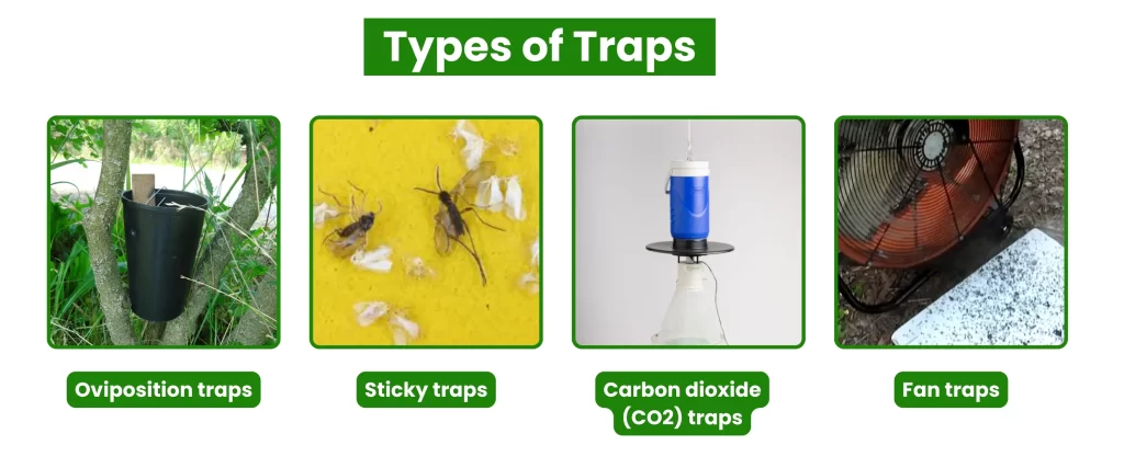 Types of mosquito Traps