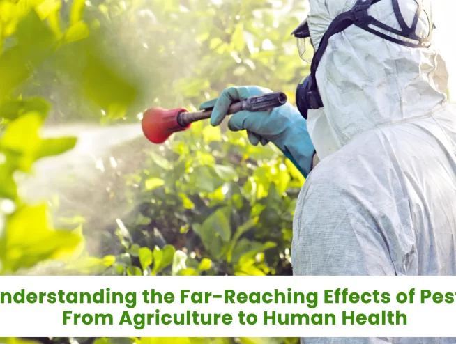 Understanding Far-Reaching effects of pests