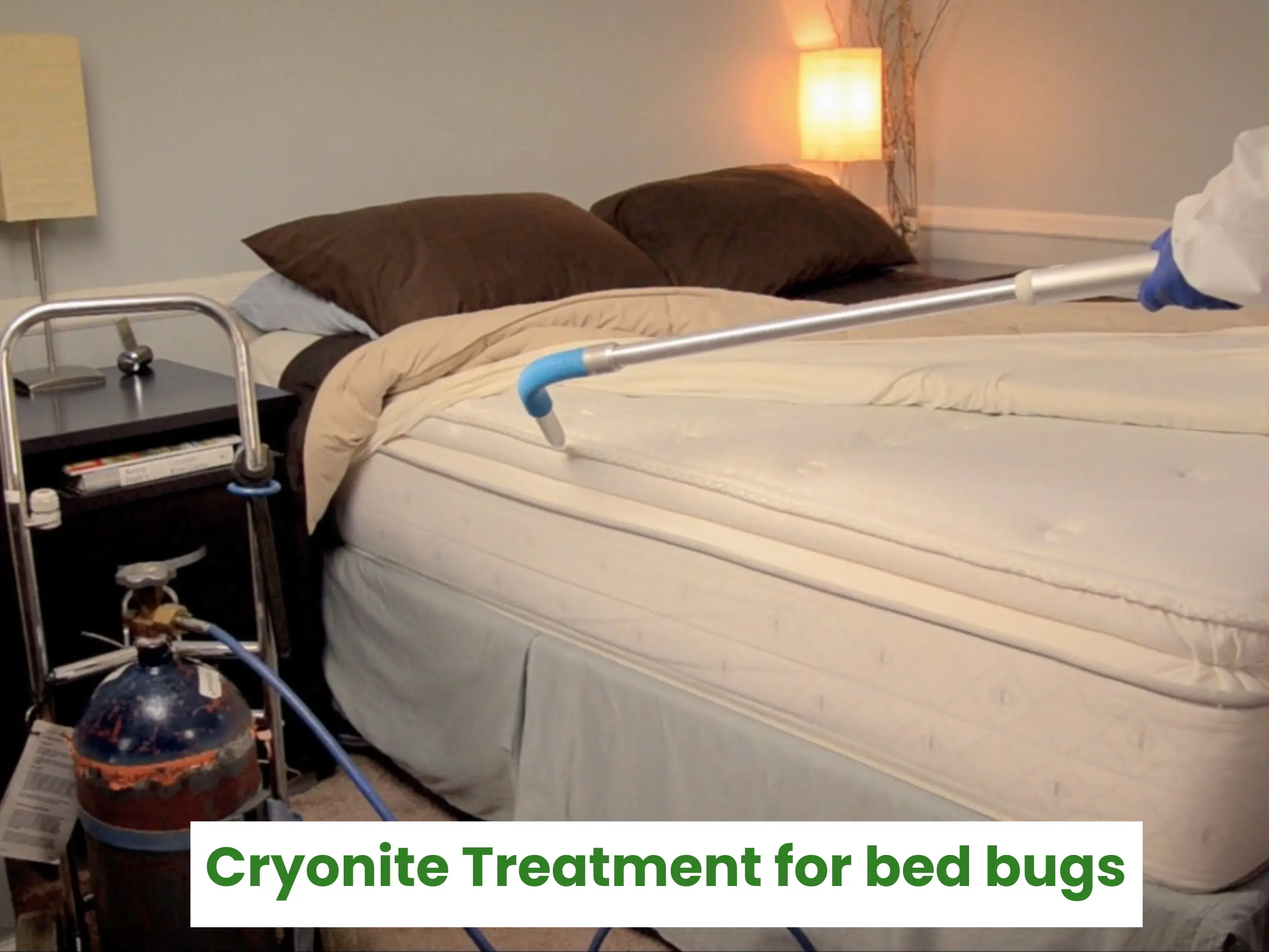 Cryonite treatment for bed bugs