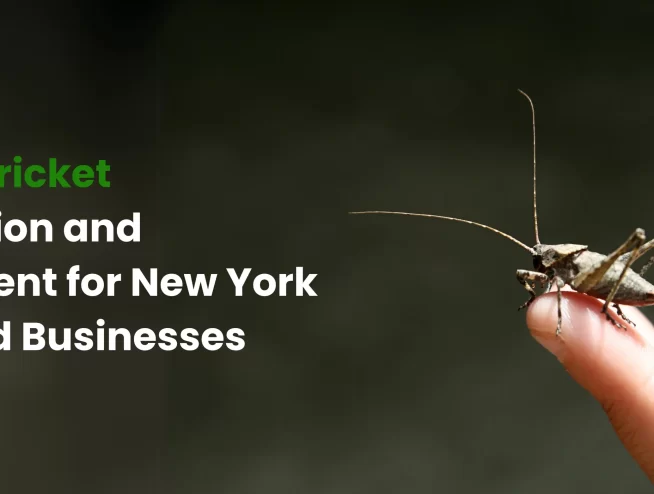 Effective Cricket Identification and Management