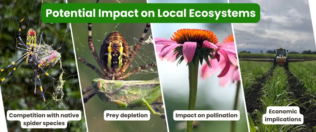 Potential Impact on Local Ecosystems