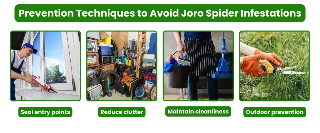 Prevention Techniques to Avoid Joro Spider Infestations