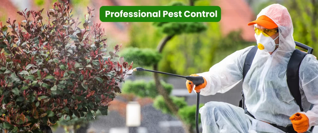 Professional Pest Control for caterpillars