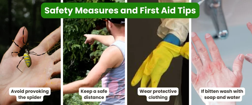 Safety Measures and First Aid Tips