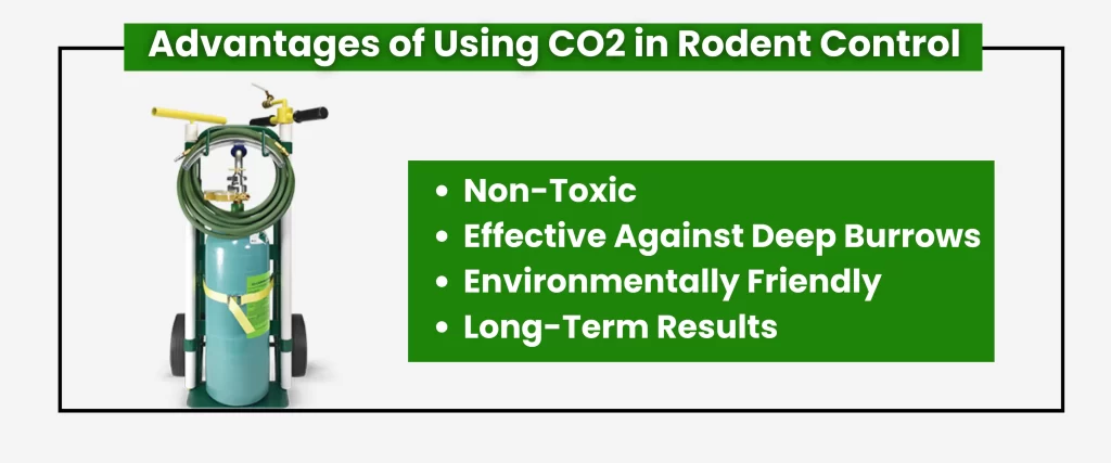 Advantages of Using CO2 in Rodent Control