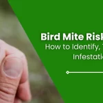 Bird Mite Risks to Humans