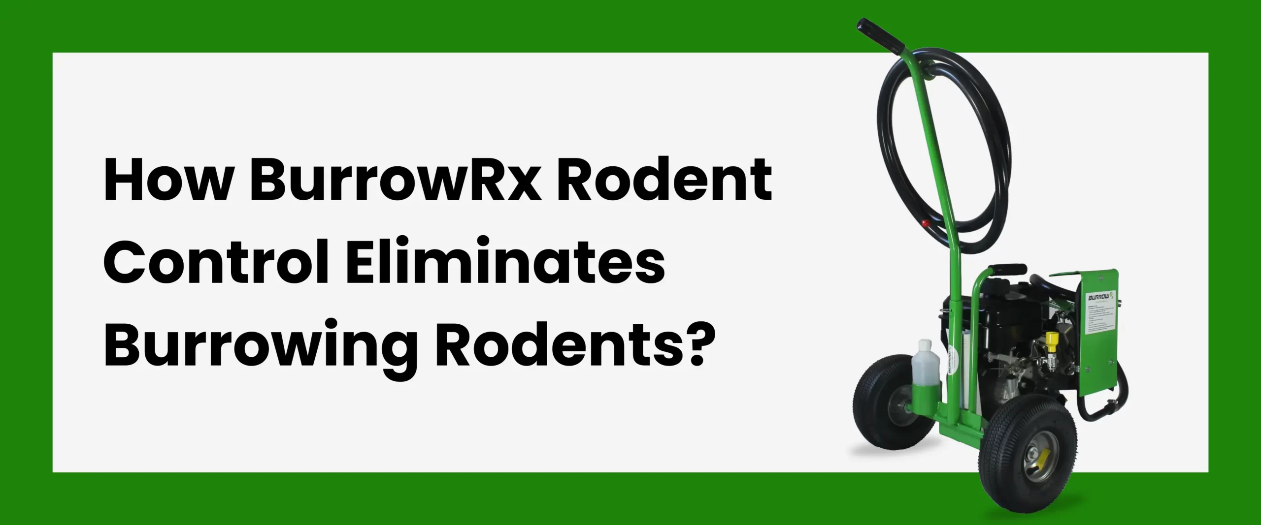 BurrowRx Rodent Control Eliminates Burrowing Rodents