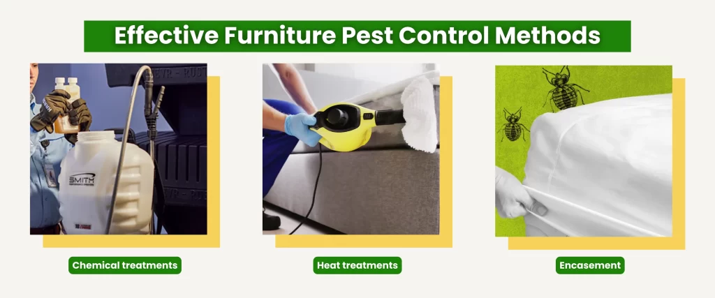 Effective Furniture Pest Control Methods