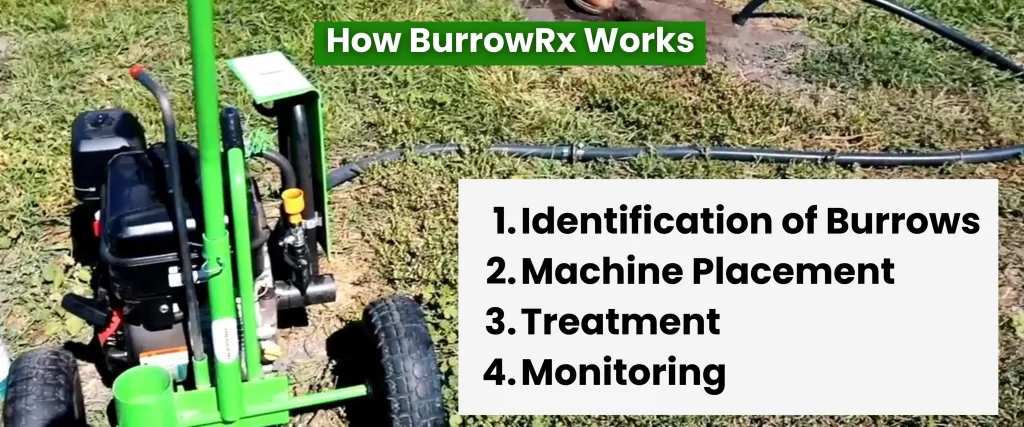 How BurrowRx Works