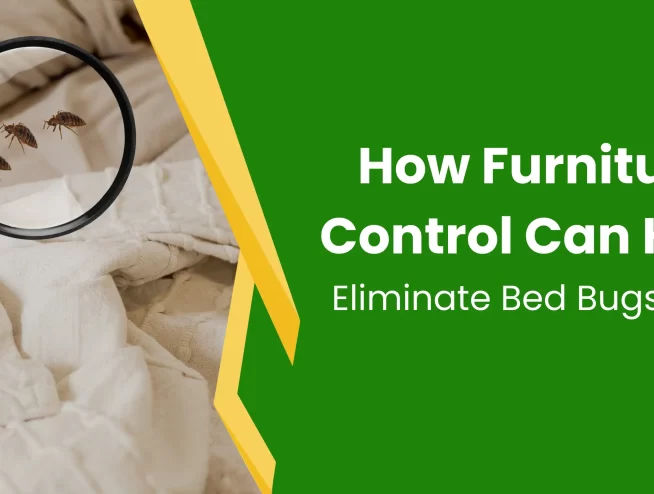 furniture pest control can help to eliminate bed bugs