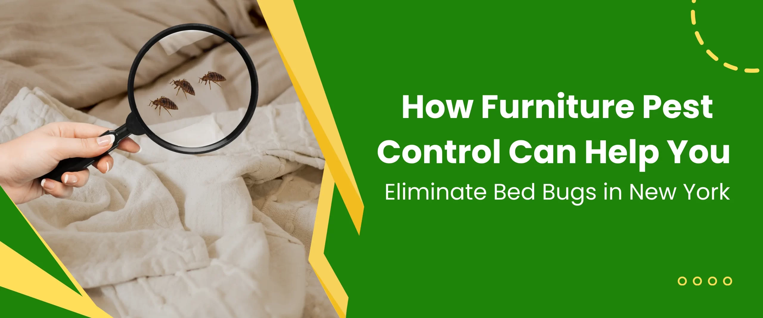 furniture pest control can help to eliminate bed bugs