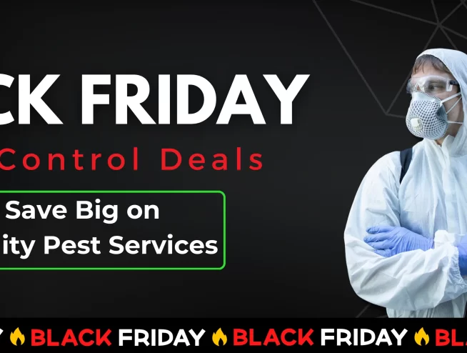 Black Friday Pest Control Deals