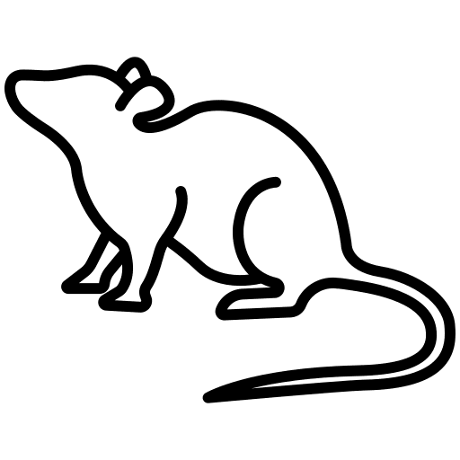 Icon 1
