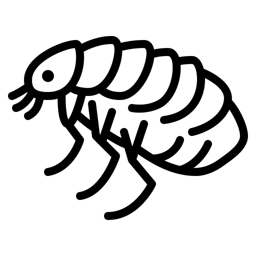 Fleas Icon