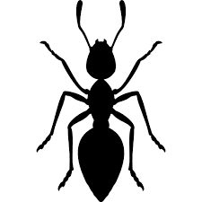 Ant Icon