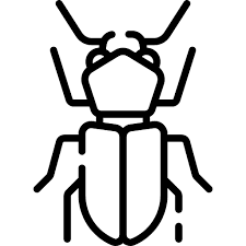 Icon 3