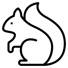 Icon 2