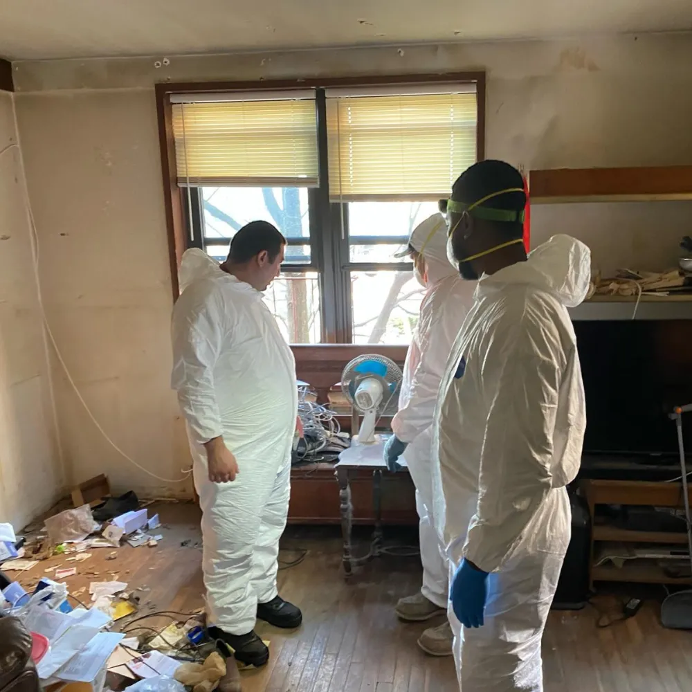 Pest Control New Hyde Park, NY