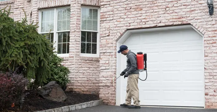 Pest Control Service in New Jersey