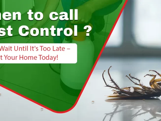 When to Call Pest Control