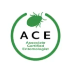 ACE.webp