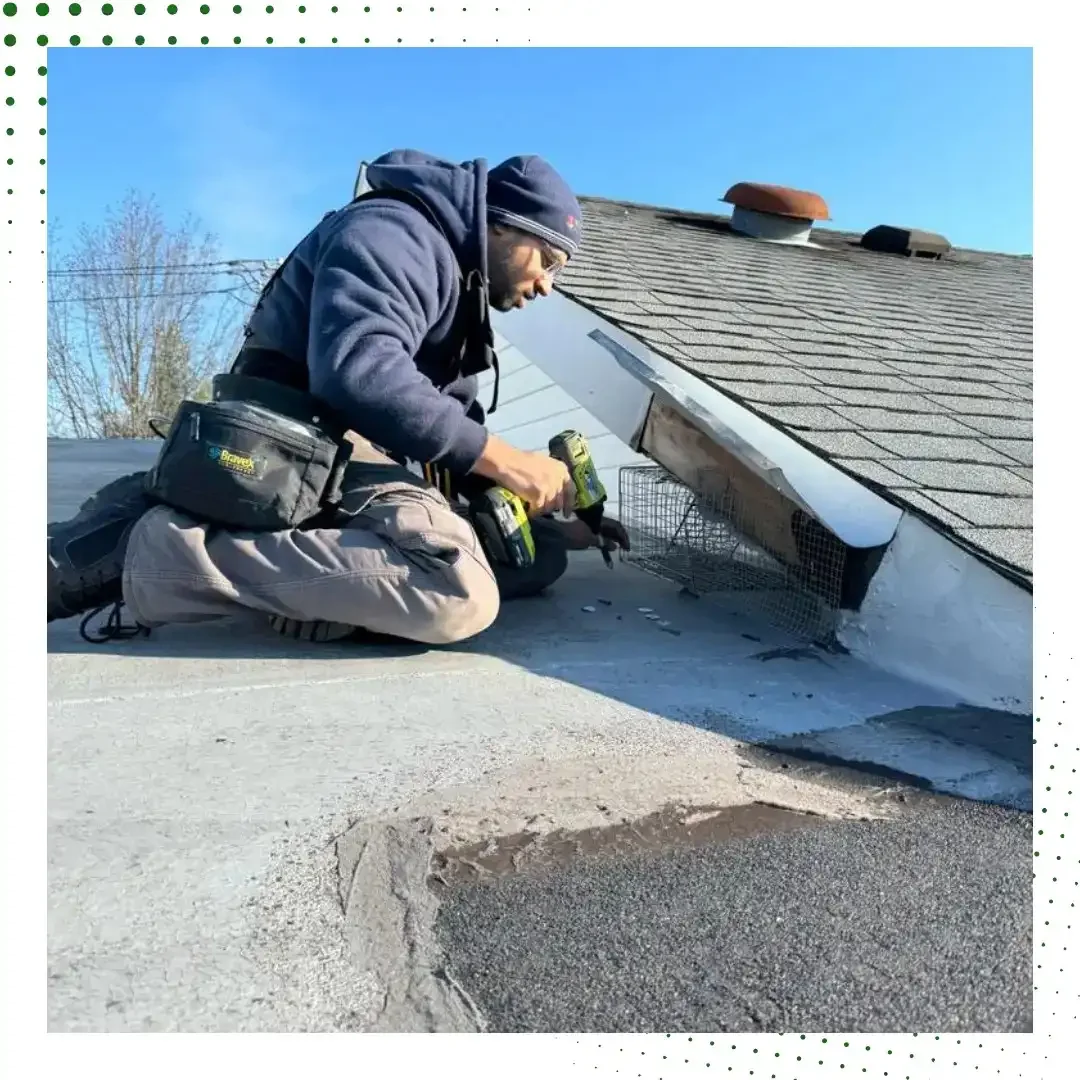 commercial pest control​