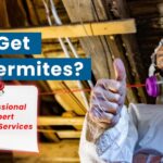 How to get rid of termites? bestatpestnyc provides professional expert tips and services for termite control.