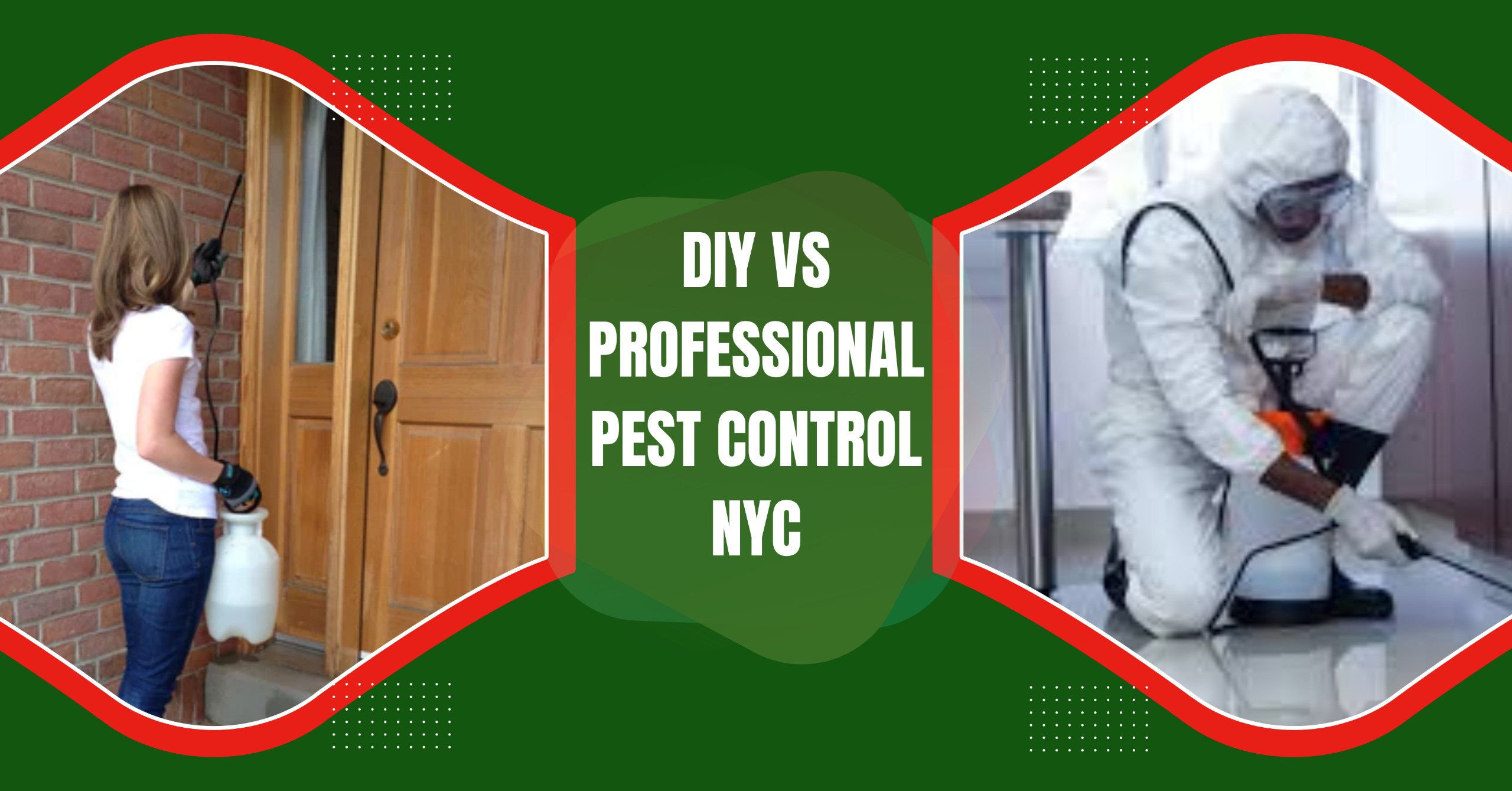 DIY vs Professional Pest Control in NYC: Which Is Right for You?