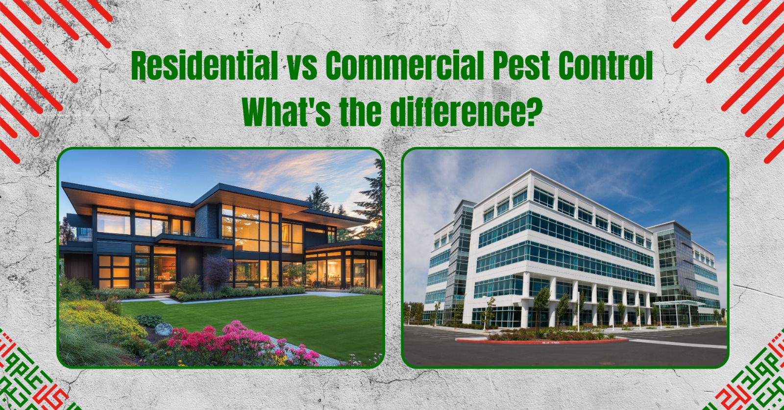 Beautiful view of Pest Control For Residential Buildings